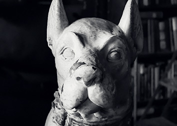 A sculpture of a dog's face is situated a darkened room.